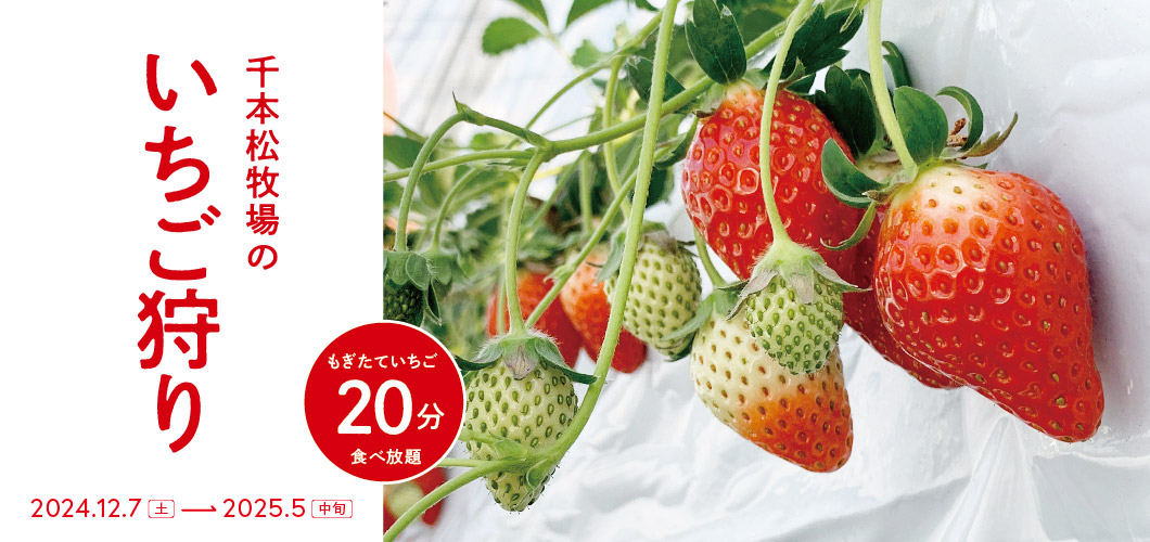いちご狩り